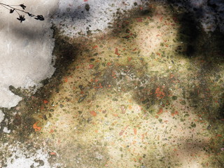 detalle de suelo