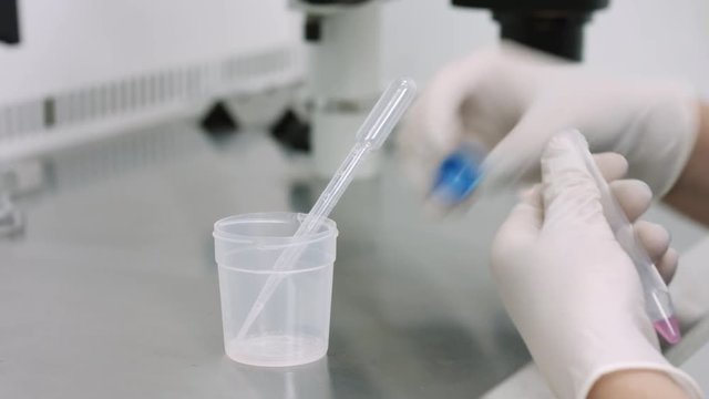 Close up of embryologist's hands in protective gloves take sperm sample from collection container in test tube with disposable wholesale plastic pipette in biological safety cabinet, ivf procedure.