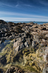 Obraz premium The rocky beach with the green algaes in Saint-Malo, France