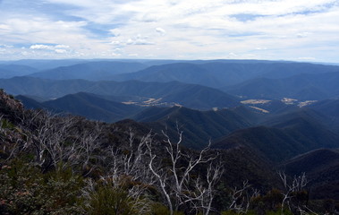Broad panorama of the Victorian High Country via Billy Goat Bluff Track. Billy Goat Bluff is a four-wheel drive track.