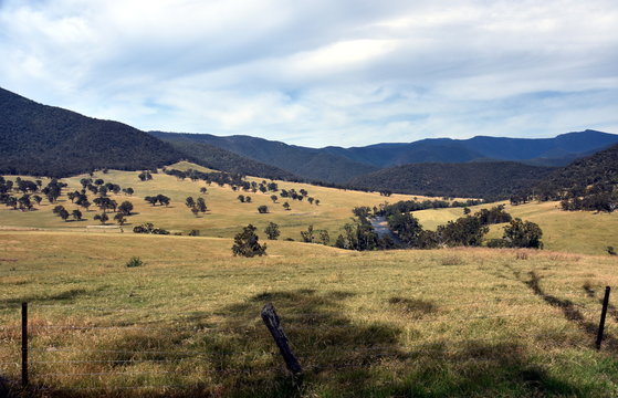Broad panorama of the countryside in High Country, Victoria with green field in foreground. Grassy hills near Dargo, in Australia.