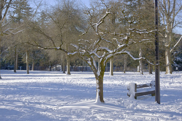 Winter snow in a public park Oregon.