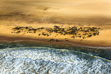 Skeleton Coast - Namibia