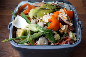 Container of domestic food waste, ready to be collected by the r