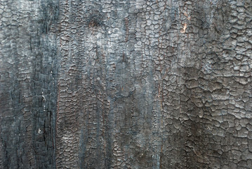 Obraz premium the charred wooden log. wall of the house pine trees logs. Burnt the . Conceptual background walls the timber. pattern. . Black burned texture.