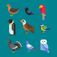 Obraz na płótnie Canvas Birds vector set illustration isolated