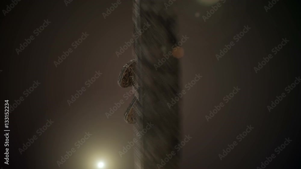 Poster 3d animated countdown with a wooden texture