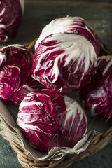 Obraz premium Raw Organic Purple Radicchio Lettuce