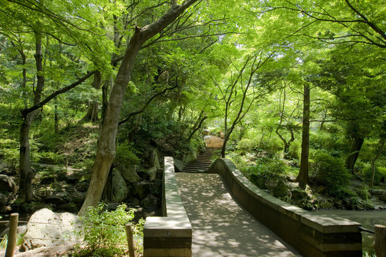 304 Best 有栖川公園 Images Stock Photos Vectors Adobe Stock