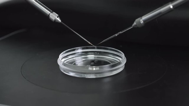 Macro shot of micromanipulator pipette set up, preparation needles for icsi ivf procedure