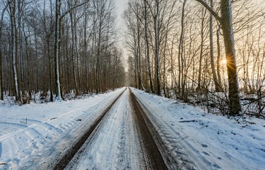 Landscape with road in winter forest