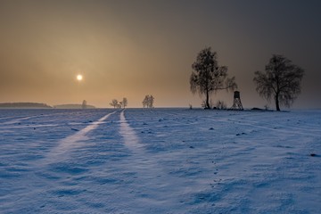 Winter snowy fields with raised hide and foggy day