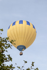 Fototapeta premium ascension of hot air balloons festival