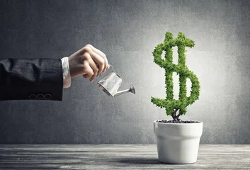 Foto op Canvas Concept of investment income and growth with money tree in pot © adam121