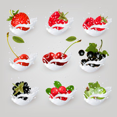 Big collection icons of fruit and berries in a milk splash. Rasp