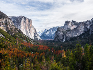 attraction point view for tourist, halfdome and waterfall with pine tree in foreground in winter