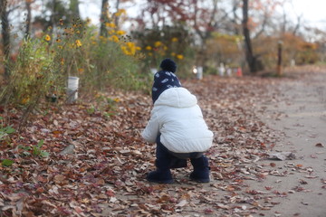 Fototapeta premium The child who picks a fallen leaf up