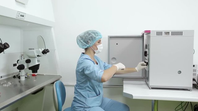 Scientist woman take biological material samples from incubator and work with them looking through microscope, embryologist performs ivf procedure with denudation pipette