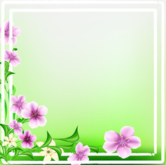blooming flowers on the white frame, summer bright background