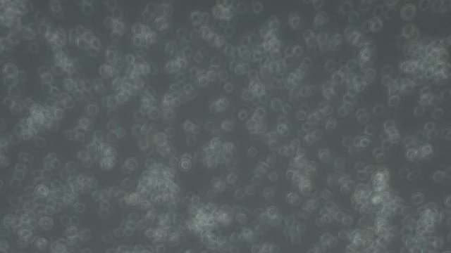 Human sperm under microscope, 100x