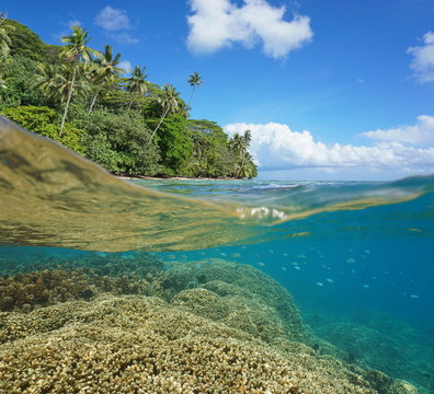 Half and half over and under the water surface, lush tropical coast and coral reef with fish underwater split by waterline, Pacific ocean, French Polynesia, Huahine island

