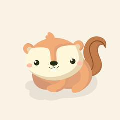 Cute squirrel cartoon.