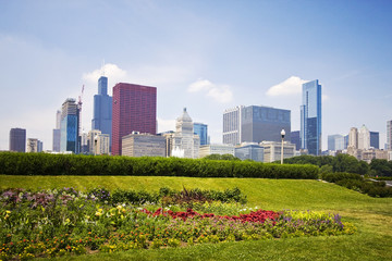 Chicago downtown skyline view with flowerbed in Grant Park on the foreground on a sunny summer day