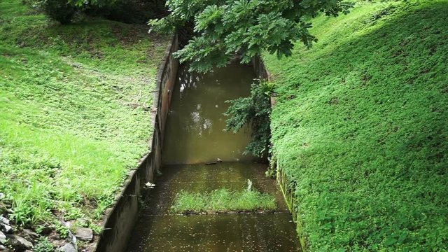  Small water duct canal through green lush park, lawn and tree 