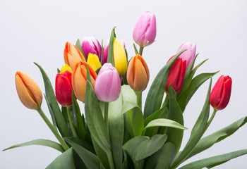 colorful bouquet of fresh spring tulip flowers