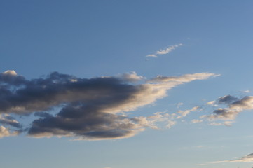 SONY DSC