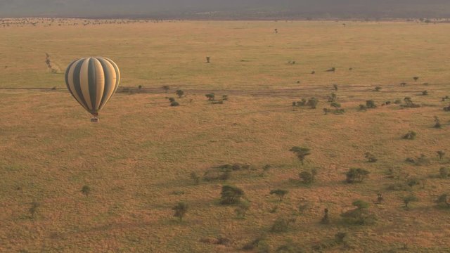 AERIAL: Safari hot air balloon full of happy tourists flying above the ground
