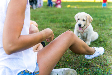 girl playing with her puppy in the park in spring