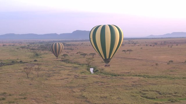 AERIAL: Hot air baloon safari flying above pristine African savannah wilderness
