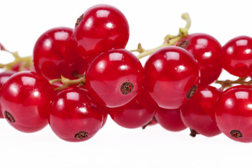 Fruits of redcurrant on a twig in white background