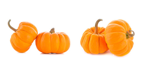 Pumpkins isolated on white background