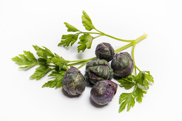 Lila Rosenkohl mit glatter Petersilie