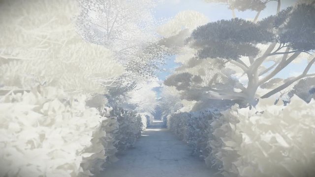 Paper garden in winter, sun shining