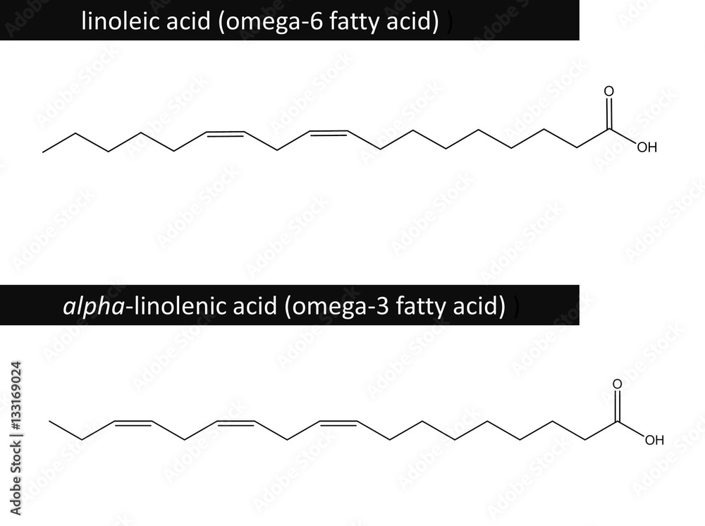 Poster Molecular structure of linoleic and alpha-linolenic acid