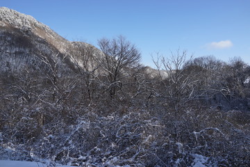 雪景色　雪山　冬の山　銀世界