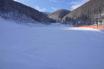 Fototapeta premium スキー場 ゲレンデ 冬 雪 ウインタースポーツ