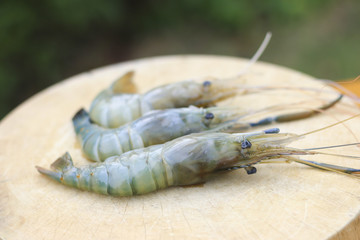 Stock Photo:.Seafood, Fresh shrimp
