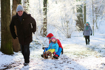 Active healthy grandparents and their happy grandchildren, toddler girl and teenage boy wearing colorful snowsuits enjoying a sledge ride in beautiful snowy forest on sunny winter day