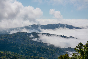 fog and cloud  on mountain at Kew Mae Pan ,Doi Inthanon National Park, Thailand.