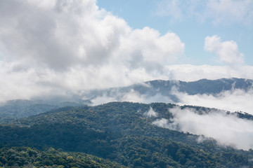 fog and cloud  on mountain at Kew Mae Pan ,Doi Inthanon National Park, Thailand.