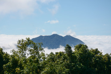 fog and cloud  on mountain at Kew Mae Pan ,Doi Inthanon National Park, Thailand.