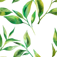 Floral seamless pattern with tea leaves. Green tea branch in hand drawn watercolor style. Tea background for paper, textile and wrapping