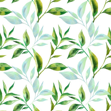 Floral seamless pattern with tea leaves. Green tea branch in hand drawn watercolor style. Tea background for paper, textile and wrapping