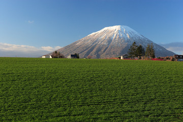 秋の羊蹄山麓