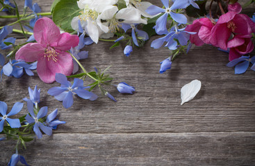 apple flowers on wooden background