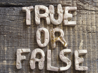 True or Lies Concept